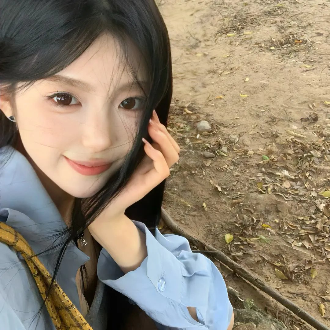 我的小狮王