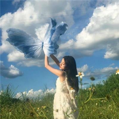 友情岁月之山鸡故事